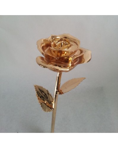 Rose naturelle dorée à l'or fin 24k