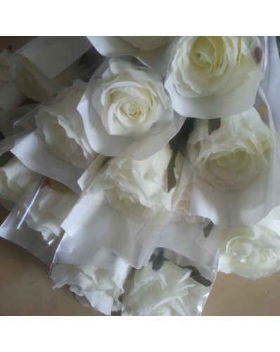 Rose blanche emballée individuellement