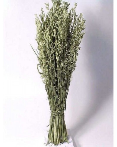avoine naturel