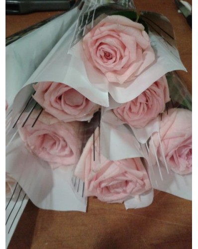 Rose blanche emballée individuellement