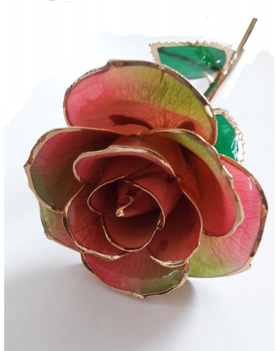 Rose en or 24k couleur rose
