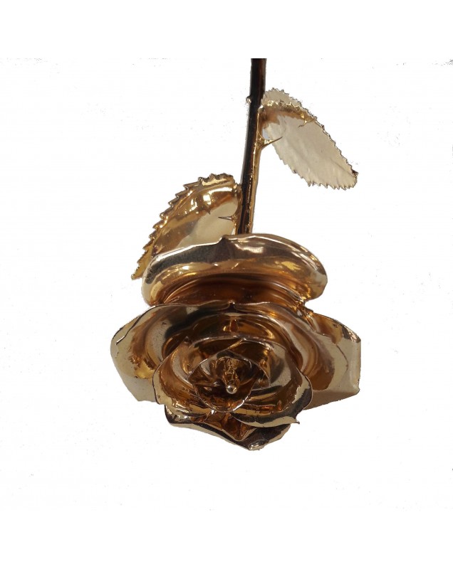 Rose éternelle plaquée or