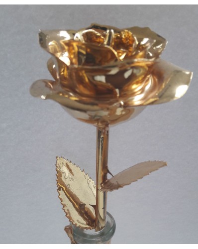 Rose éternelle plaquée or